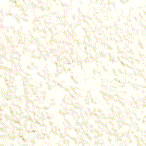fond4.gif