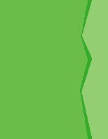 papier-vert.gif